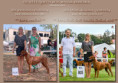 CACIB Mladá Boleslav 17.08.2024 & CACIB Bratislava 18.08.2024